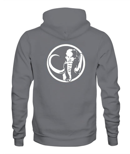 Sudadera Power Ranger Negro - Alive geek shop. Unisex Hoodie | Gildan 18500 - Alive Geek Shop 🧠 Gadgets que mejoran tu vida